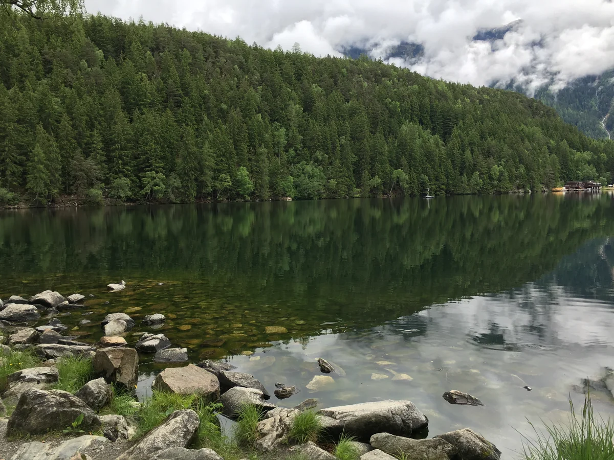 Bosque reflejado en un lago